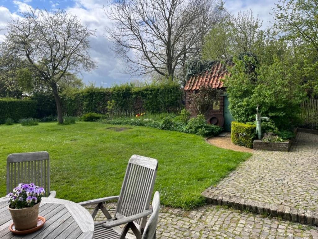 Den Haegepreeck Villa Horebeke Eksteriør billede